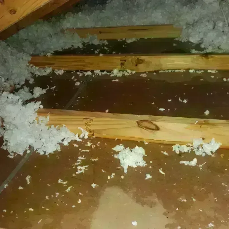 Attic Water Damage in Howey-in-the-Hills, FL